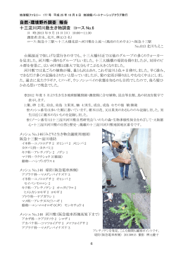 自然・環境野外調査 報告 十三淀川河川敷生き物調査 コース No.6