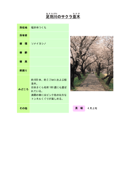 2福井：足羽川のサクラ並木（PDF形式 100キロバイト）