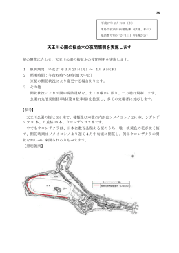 天王川公園の桜並木の夜間照明(PDF:57KB)