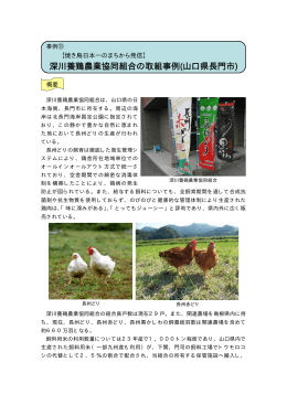 深川養鶏農業協同組合の取組事例(山口県長門市)