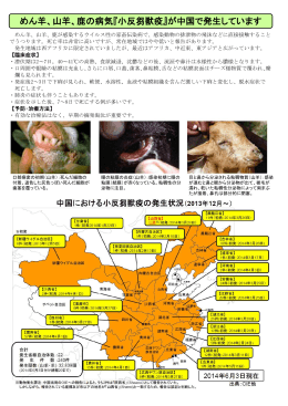 めん羊、山羊、鹿の病気『小反芻獣疫』が中国で発生しています