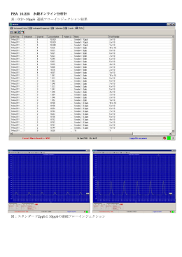 PSA 10.225 水銀オンライン分析計 表：0.2～10ppb 連続フロー