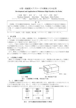 (3) 小型・高感度エアプローブの開発とその応用