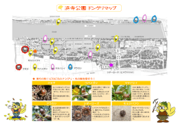 浜寺公園どんぐりマップ