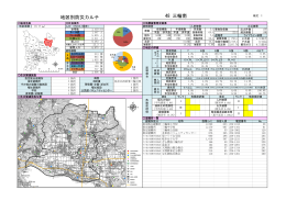 48 三輪南 地区別防災カルテ