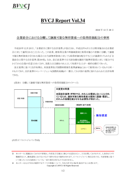 BVCJ Report Vol.34 - ビバルコ・ジャパン株式会社(BVCJ)