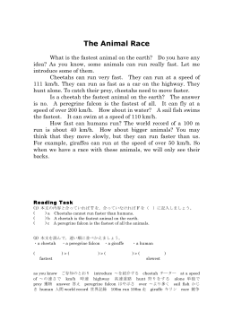 The Animal Race（53.3 KB）PDF