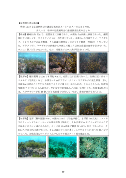 【定置網の周辺藻場】 唐津における定置網周辺の調査結果