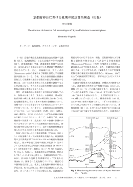 京都府沖合における夏期の底魚群集構造（短報）（PDF：1280KB）