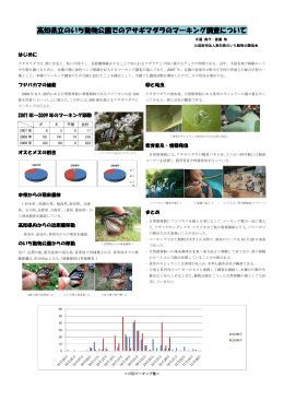 高知県立のいち動物公園でのアサギマダラのマーキング調査について