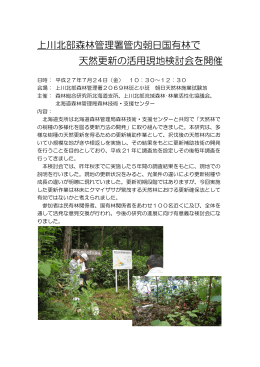 上川北部森林管理署管内朝日国有林で 天然更新の活用現地検討会を
