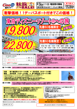 【セール】東京ディズニーリゾート2日間19800円