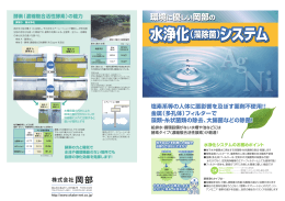 水浄化（藻除菌）システム