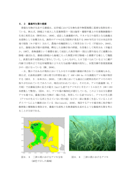 6．3 藻場再生策の提案 多様な生物が生息する藻場は、沿岸域における