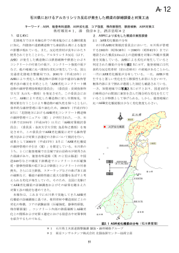 石川県におけるアルカリシリカ反応が発生した橋梁の詳細調査と対策工法