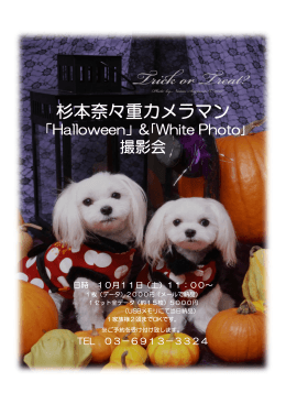 杉本奈々重カメラマン 「Halloween」&｢White Photo｣