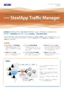SteelApp Traffic Manager