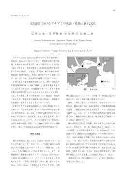 児島湾におけるアキアミの成長・成熟と世代交代 [PDFファイル／2.78MB]