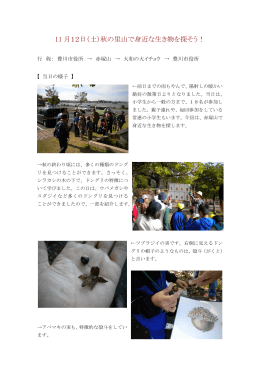 赤塚山 平成23年11月12日開催（一般向け）（PDF：376KB）