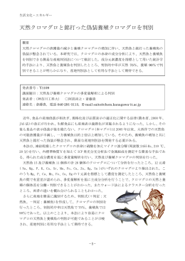 天然クロマグロと銘打った偽装養殖クロマグロを判別【Y1109】 （神奈川