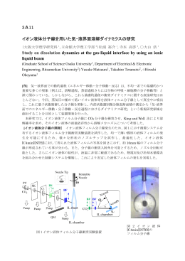 3A11 イオン液体分子線を用いた気-液界面溶解ダイナミクスの研究