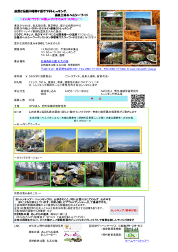 自然と伝説の明神ケ岳でプチトレッキング、 温泉三昧＆ヘルシーフード