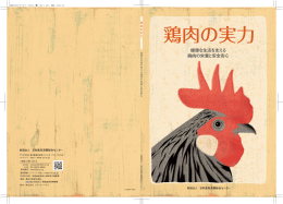 鶏肉の実力 - 日本食肉消費総合センター