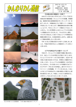 石垣島北部の調査を一旦終了 ビデオを見ながら行動