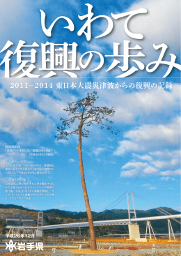 資料4 東日本大震災津波からの復興の記録 （PDFファイル 9.4MB）