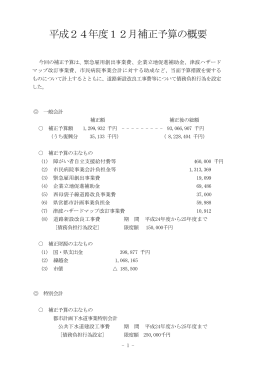 平成24年度12月補正予算の概要 [396KB PDF]