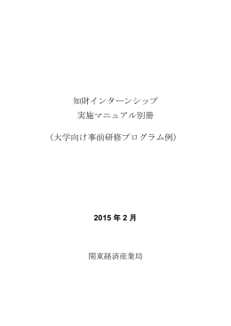 (大学向け事前研修プログラム例）(PDF:656KB)
