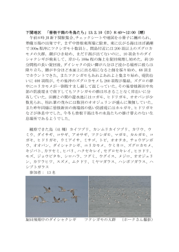 下関地区 「曽根干潟の冬鳥たち」13.2.10（日）8:40～12:00（晴）