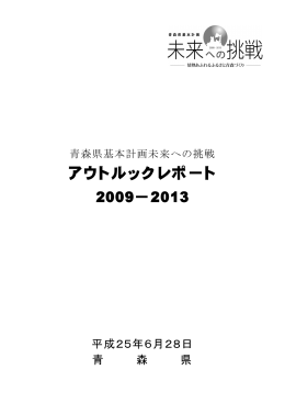 アウトルックレポート 2009－2013