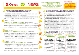 SK-net NEWS No.20