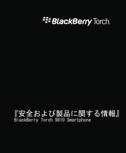 BlackBerry Torch 9810 Smartphone