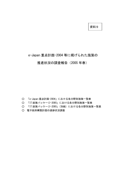 e-Japan 重点計画-2004 等に掲げられた施策の 推進状況の調査報告