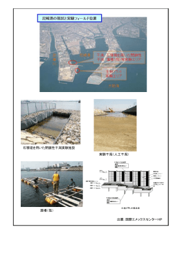 石積堤を用いた閉鎖性干潟実験施設 実験干潟（人工干潟） 藻