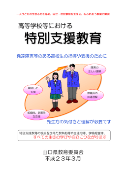 高等学校等における特別支援教育 (PDF : 5MB)