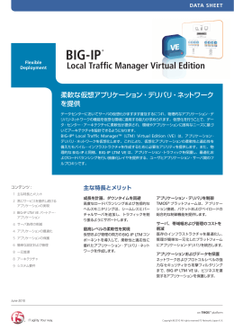 DS_BIG-IP LTM VE_jp.indd