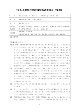 第6回会議 会議録(PDF 328KB)