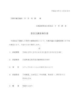調査報告書【PDF】