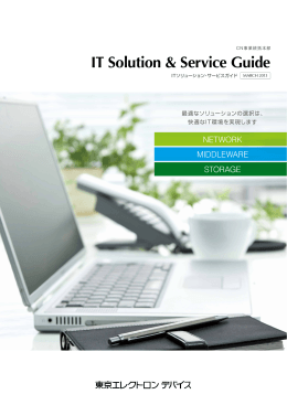IT Solution & Service Guide