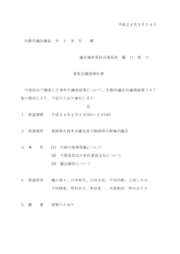 調査報告書【PDF】