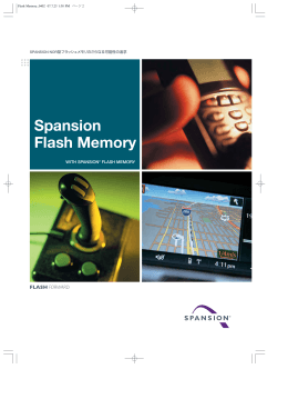 Flash Memory_0402