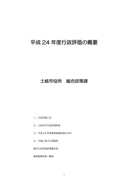 平成24年度行政評価の概要 (PDF 796KB)