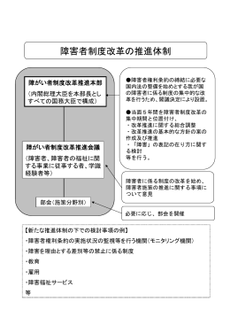 2009/12/08 障がい者制度改革推進本部の設置について（PDF 322KB）