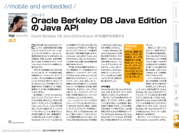 Oracle Berkeley DB Java Edition の Java API