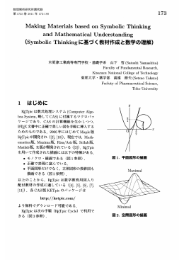 Symbolic Thinkingに基づく教材作成と数学の理解 (数式処理