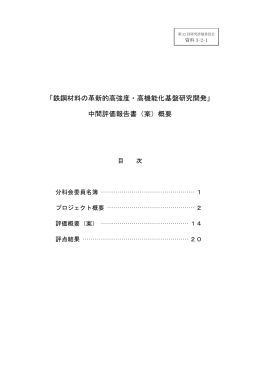 中間評価報告書（案）概要 - 新エネルギー・産業技術総合開発機構