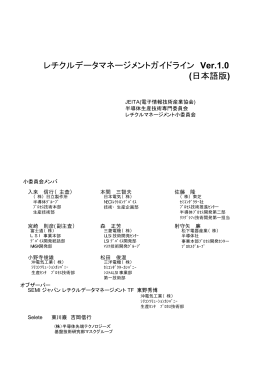 レチクルデータマネージメントガイドライン Ver.1.0 (日本語版)